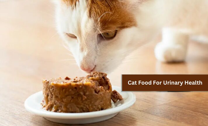 Cat-Food-For-Urinary- Health