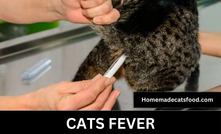 Cat-Fever