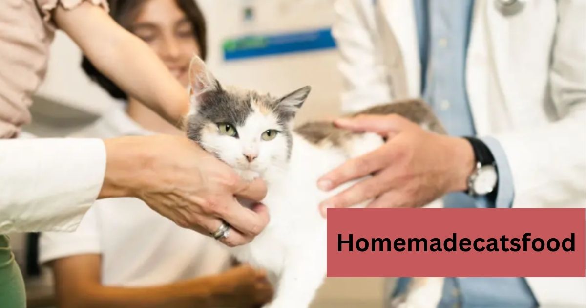 male cat behavior after neutering