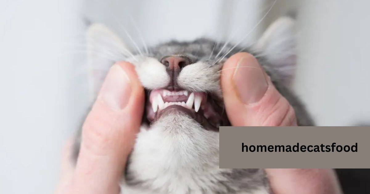 Healthy-Cat-Gums-vs-Unhealthy