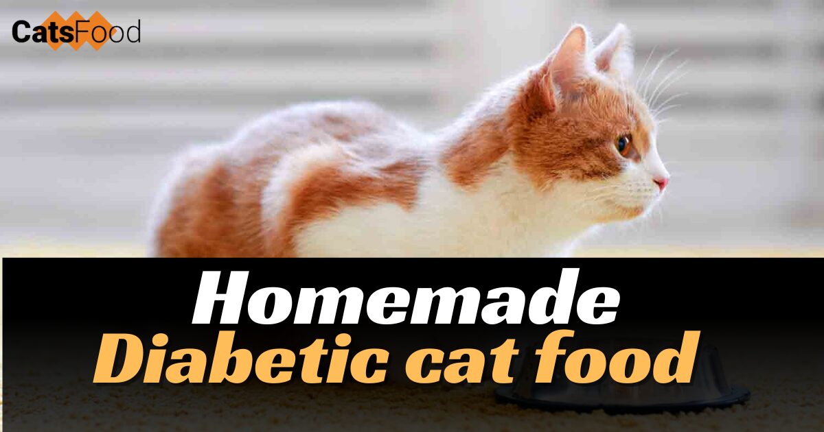 Homemade diabetic cat food